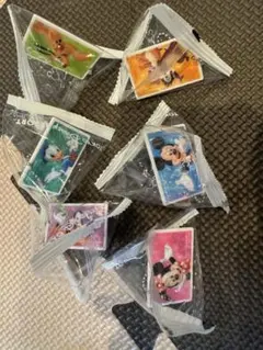 ディズニー　チケット　キーホルダー　キーチェーン 全種類6個セット