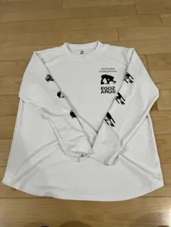 美品パスグルーヴ　ロングスリーブTシャツエゴザル