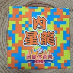 即日発送 2025 岡島体育祭限定 ガラポン景品 #69 内 星龍 ミニタオル
