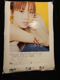 LiSA 11th Catch the Moment 販促 B2ポスター 非売品 - メルカリ