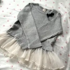 プティマイン　110