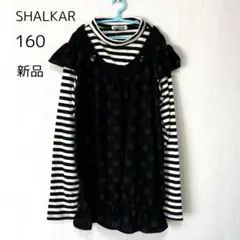 新品　SHALKAR レイヤード風長袖カットソー　ボーダー　ドット 160