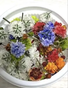 ドライフラワーかすみ草【F】