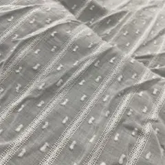 コットン 生地 ドット レース