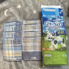 Item thumbnail for item c5e8565d-9427-4168-852e-e4a324e7573f