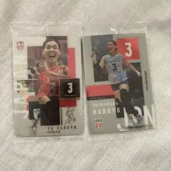バレーボール日本代表 島村春世