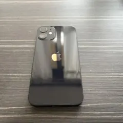 iPhone 12 mini Black バックパネル 修理 交換