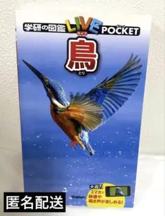 【匿名配送】　学研　Gakken 鳥　学研の図鑑LIVEPOCKET 1冊