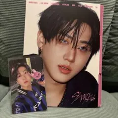 StrayKids スキズ KARMA CD 開封済 チャンビン　ZOOトレカ