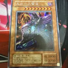 黒衣の大賢者　シークレット