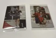 西田有志選手/バレーボール男子日本代表/ウエハース/カード 2枚セット