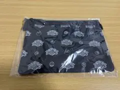 秋田ノーザンハピネッツ　オリジナルサコッシュ