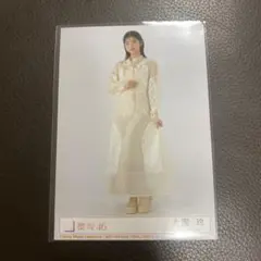 櫻坂46 Addiction 大園玲 封入 生写真 ヒキ