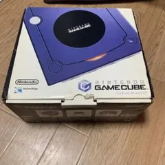 Nintendo GAMECUBE 本体 バイオレット 箱説明書コントローラ付き