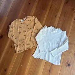 長袖カットソー２枚組　ZARAキッズ　95cm