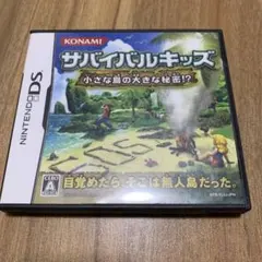 DSソフト　サバイバルキッズ　小さな島の大きな秘密