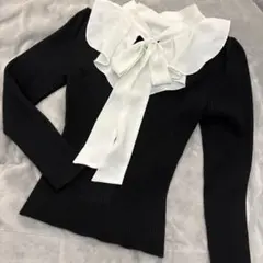 【美品】JILL BY JILLSTUART ブラウスドッキングリブニット