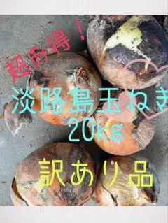 Ⅵあわじ島玉ねぎ　訳あり品　20kg箱入るだけ！のサムネイル
