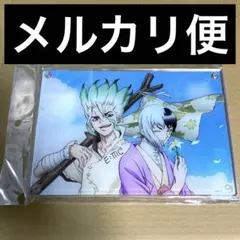 Dr.stone アクリルボード　アクスタ　石神千空　千空　あさぎりゲン