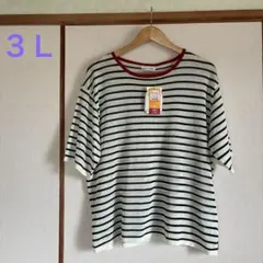 【新品】大きいサイズ　半袖ニット　プルオーバー　３Ｌ　アイボリー