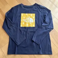 限定 THE NORTH FACE SHIRETOKO ロンT