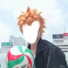 ハイキュー 日向翔陽 ウィッグ