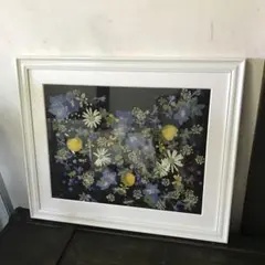 美品　押し花　額装　黒地に艶やかなドライフラワーが華やかな　壁掛け　壁飾り