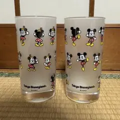 東京ディズニーランド ミッキー ・ミニーグラス 2個セット