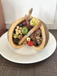 ⭐︎木の実　フルーツBuddha coconut ⭐︎のサムネイル