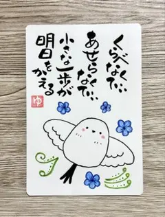 ゆーやん様 リクエスト 2点 まとめ商品