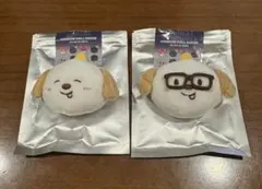 RIIZE ペンミ　ランダムドールバッジ　アントン