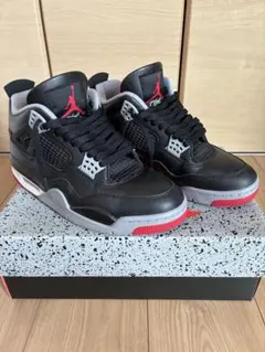 りゅう様専用NIKE AIR JORDAN4 リイマジンド仕様 サイズ28 - メルカリ