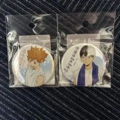 ハイキュー‼︎  プール掃除ver.  缶バッジ　影山飛雄 日向翔陽　烏野高校