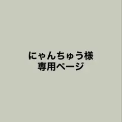 にゃんちゅう様専用