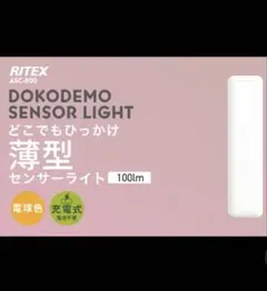 どこでもひっかけ薄型センサーライト ムサシ RITEX ASC-800