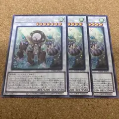 遊戯王　サークルオブフェアリー　3枚　No.1532