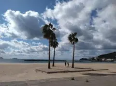 ☆ユリカ☆様専用