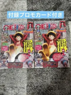 ワンピースマガジン　vol.20 ルフィ　付録プロモカード付き　2冊