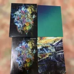 美品！RADWIMPS Xと○と罪と スリーブケース付き