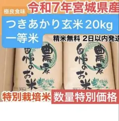 令和7年宮城県登米市産つや姫玄米20kg(10kg×2) 精米無料一等特別栽培米