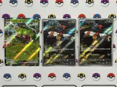 【24時間以内発送】熱風のアリーナ メガヤンマ ex RR ヤンヤンマ AR