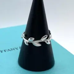 2026年最新】ティファニー リーフ リングの人気アイテム - メルカリ