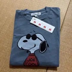 ✨値下げ✨vintage ALL ORDINARIES スヌーピー Tシャツのサムネイル
