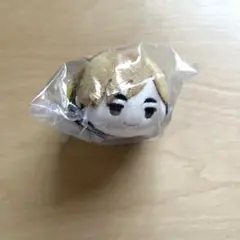 ハイキュー もちもちマスコットミニ もちマス 天童覚 - メルカリ