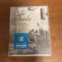 Item thumbnail for item e4667d43-67d2-4293-bdae-c902c4488b5a