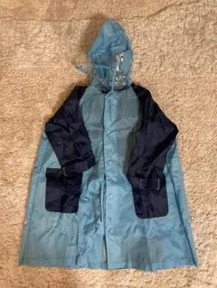 Item thumbnail for item 268a7420-c672-4f9c-93f0-7a7cd1d7ac0f