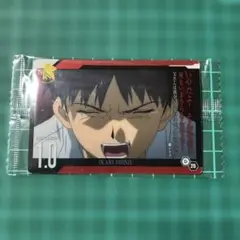 エヴァンゲリオン 碇シンジ ブロマイドカード