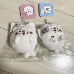 ナガノ アザラシくじ