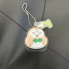 コメダ×ポケモン モクローアクキー
