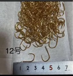 Item thumbnail for item 8f3199de-7f89-41e6-88b5-400ac2883f92